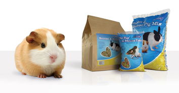 Pet Team宠物食品包装设计 从货架到情感共鸣的视觉艺术